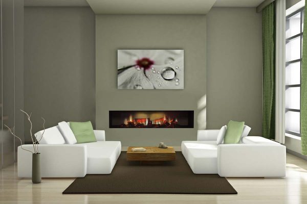 dimplex-double-opti-virtual-image