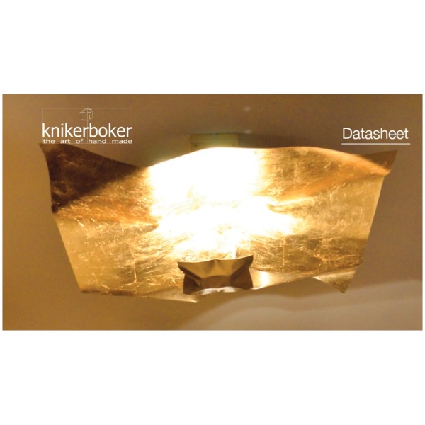 Plafondlamp Crash
